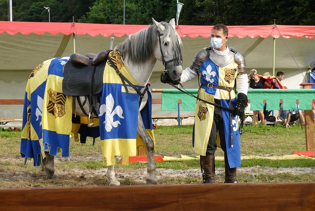 阿賈克斯恐 阿賈克斯恐