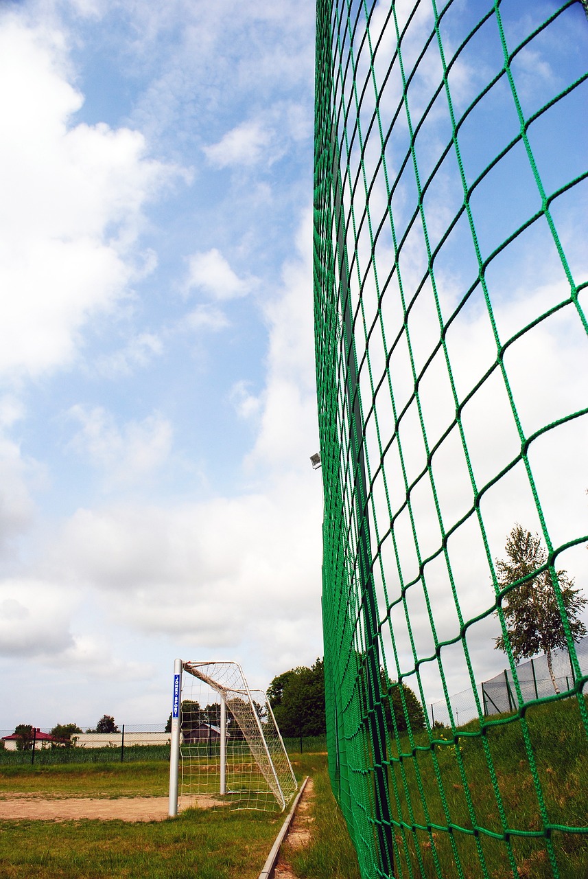 山充分利用 山充分利用