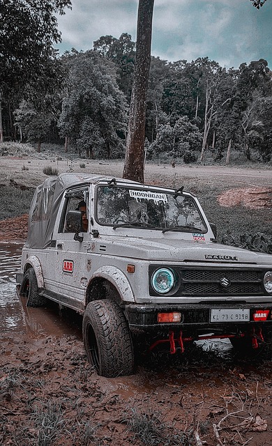 时寻找反击 时寻找反击