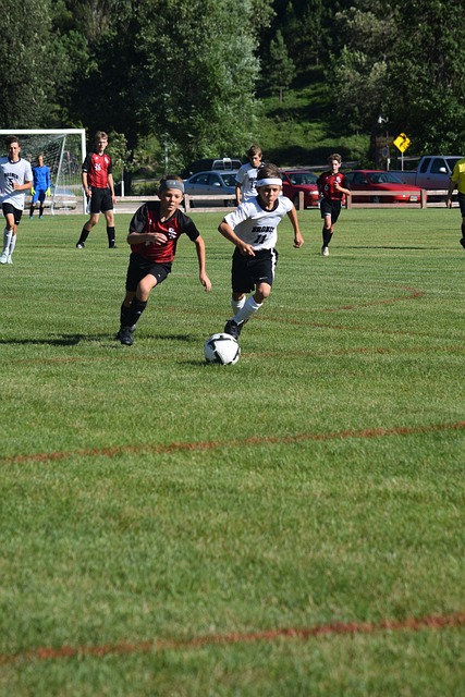 得不可或缺 得不可或缺