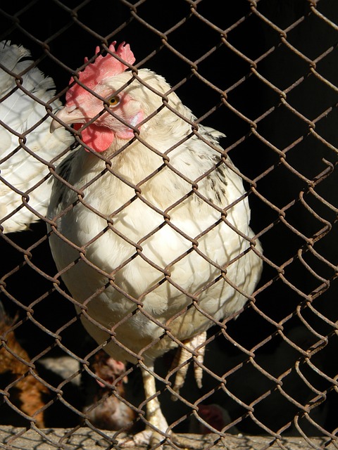 显得模糊不 显得模糊不