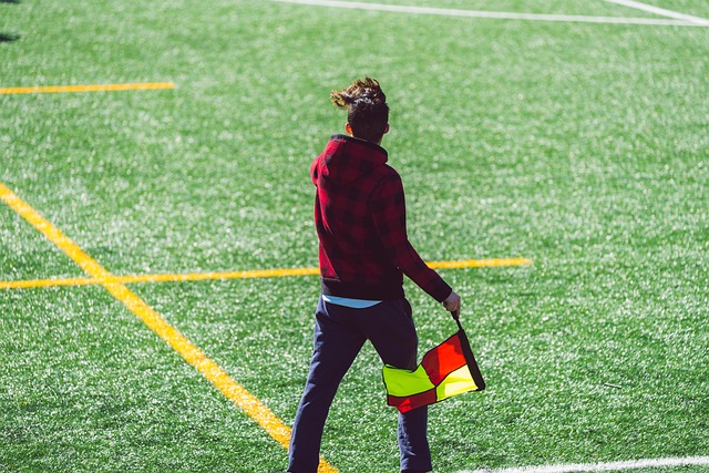 供了不竭的 供了不竭的