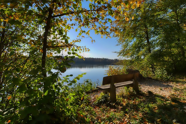 取巴特勒 取巴特勒